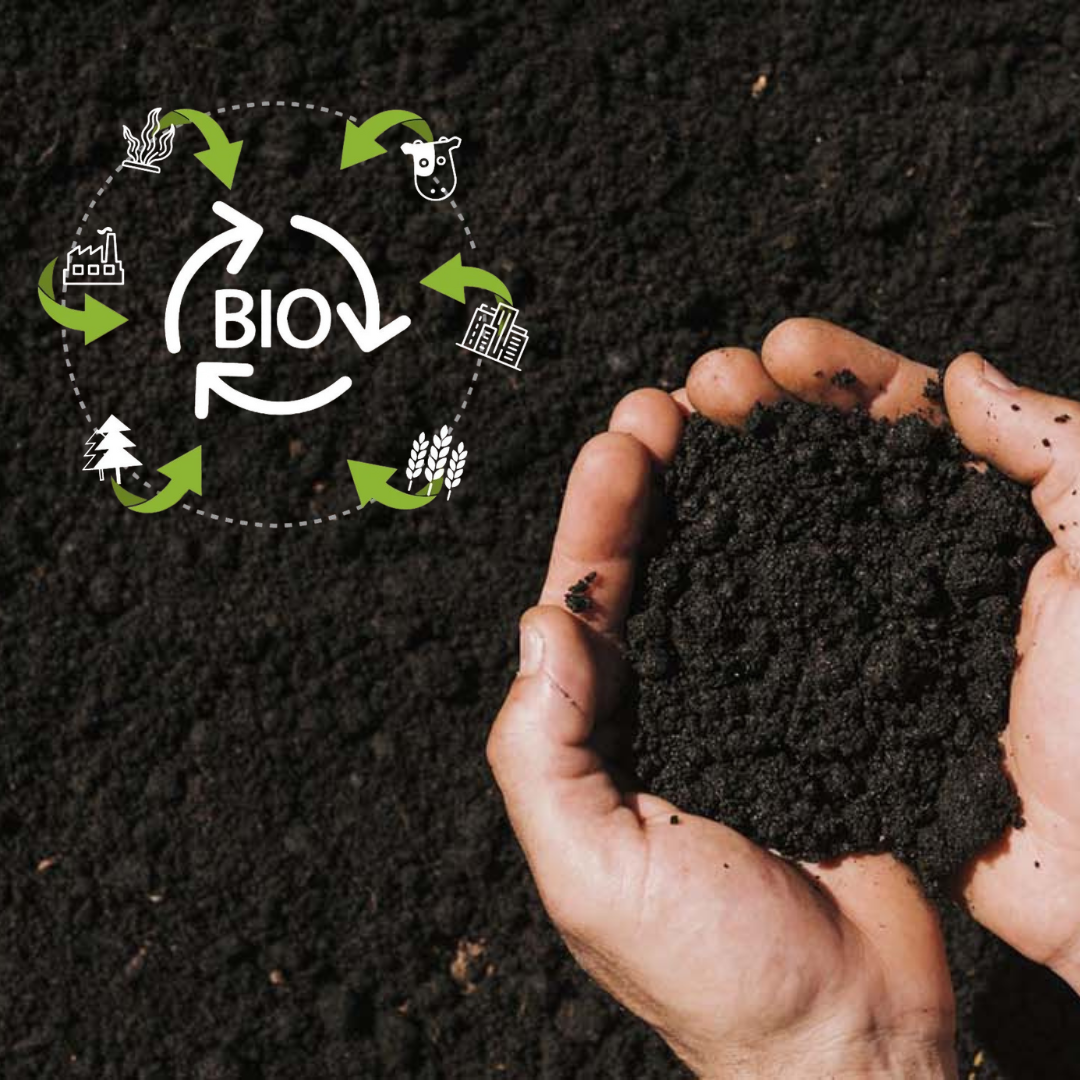 How Biochar Reduces Greenhouse Gas Emissions and Supports Environmental Stability